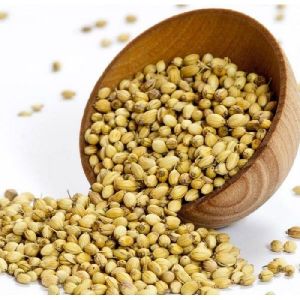 Coriander Seeds