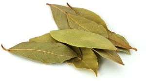 Dried Bay Leaf