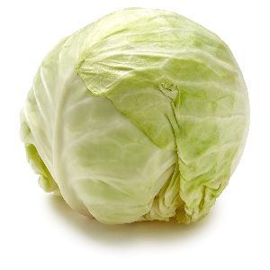 Fresh Green Cabbage