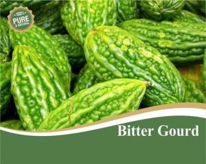 Natural Bitter Gourd