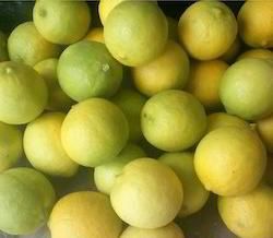 Fresh Natural Lemon