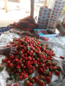 Fresh Natural Strawberry