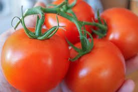 Fresh Natural Tomato