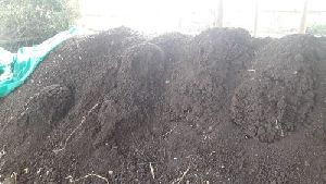 Cow Dung Manure