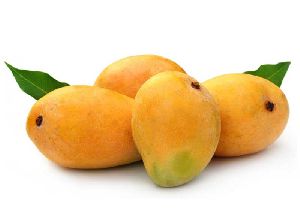 kesar mango