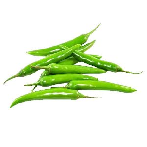 Organic Green Chilli