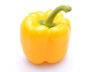 Yellow Capsicum