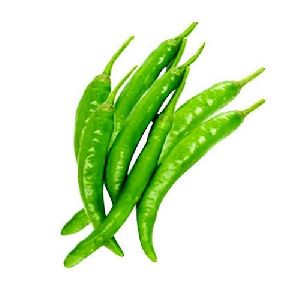 Fresh Hybrid Green Chilli