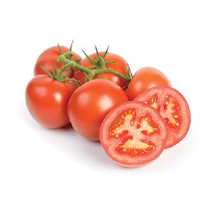 Fresh Red Tomato