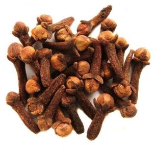 Clove Seeds