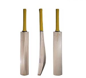 Kashmir Willow Cricket Bat