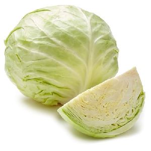 Fresh Organic Cabbage