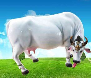 cow statue