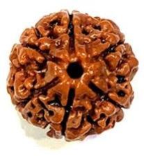 Rudraksha Beads