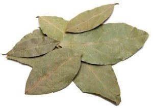 Dried Bay Leaves