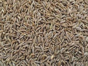 Organic Cumin seeds