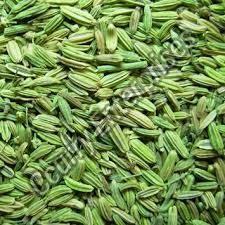 Green Fennel Seeds