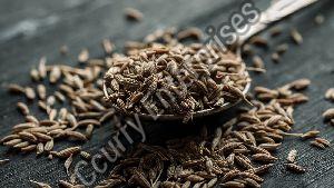 High Quality Cumin Seeds