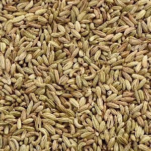 Fennel Seeds