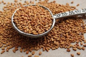 Fenugreek Seeds