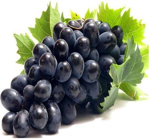 Fresh Black Grapes