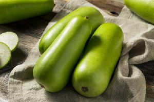 Fresh Bottle Gourd