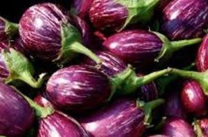 Fresh Brinjal