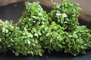 Fresh Fenugreek Leaves