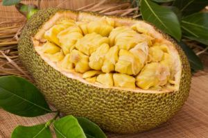 Fresh Jackfruit