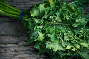 Fresh Kale Leaves