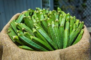 Natural Lady Finger