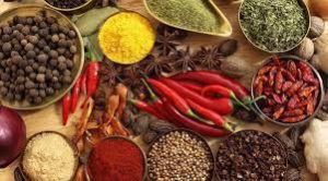 pure indian spices