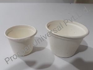 Biodegradable Tea Cup