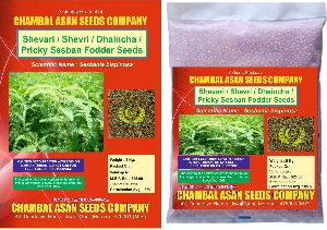 Dhaincha Seeds