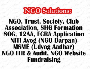 NGO Registration Services