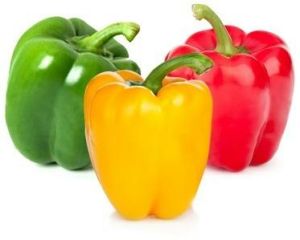 Fresh Capsicum