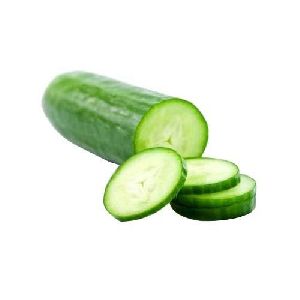 Fresh Cucumber