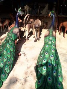 Fiber Peacock Statue