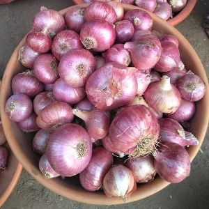 Dehydrated Red Onion