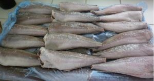 frozen hake