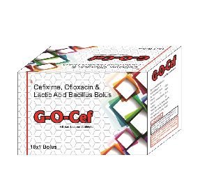 G-O CEF Antibiotic Bolus