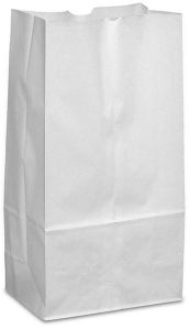 Biodegradable White Paper Bag