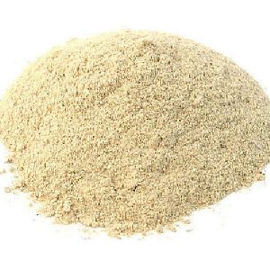 Oyster Mushroom Powder