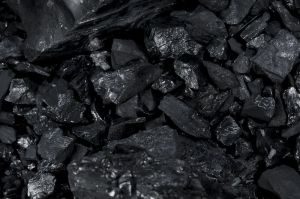 Bio Coal