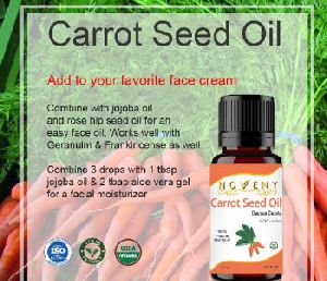 Carrot Seed Oil