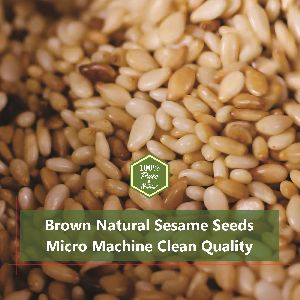 Brown Natural Sesame Seeds