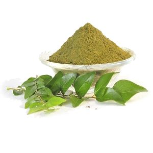 Curry Leaves Powder