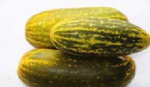 Fresh Cucumber