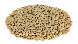 Green Lentils