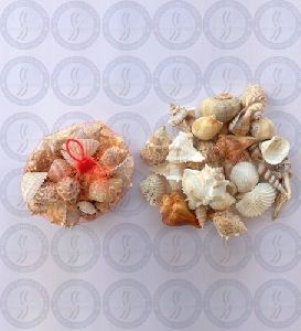 Seashell Net Bag